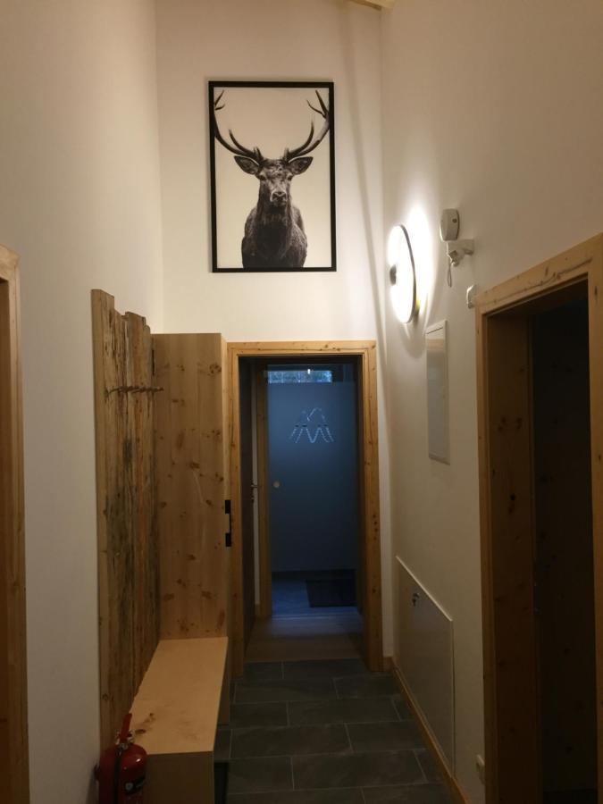 Chalet Glemmtal - Haus Bergblick Viehhofen Kültér fotó